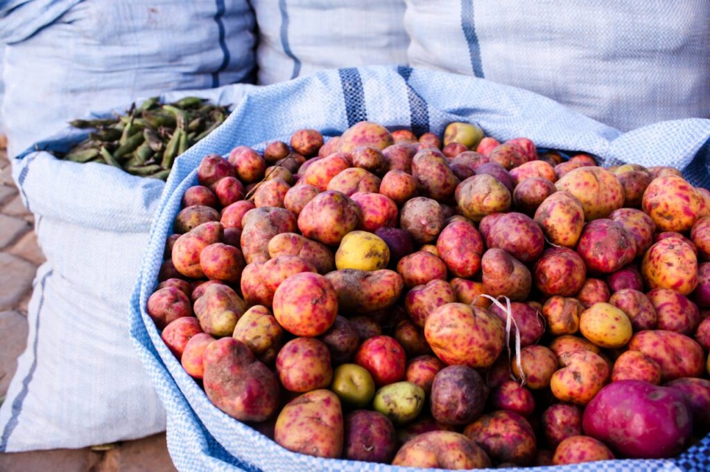 Organic Russet Potatoes
