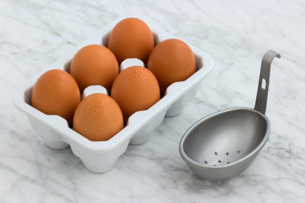 Farm Fresh Free-Range Eggs